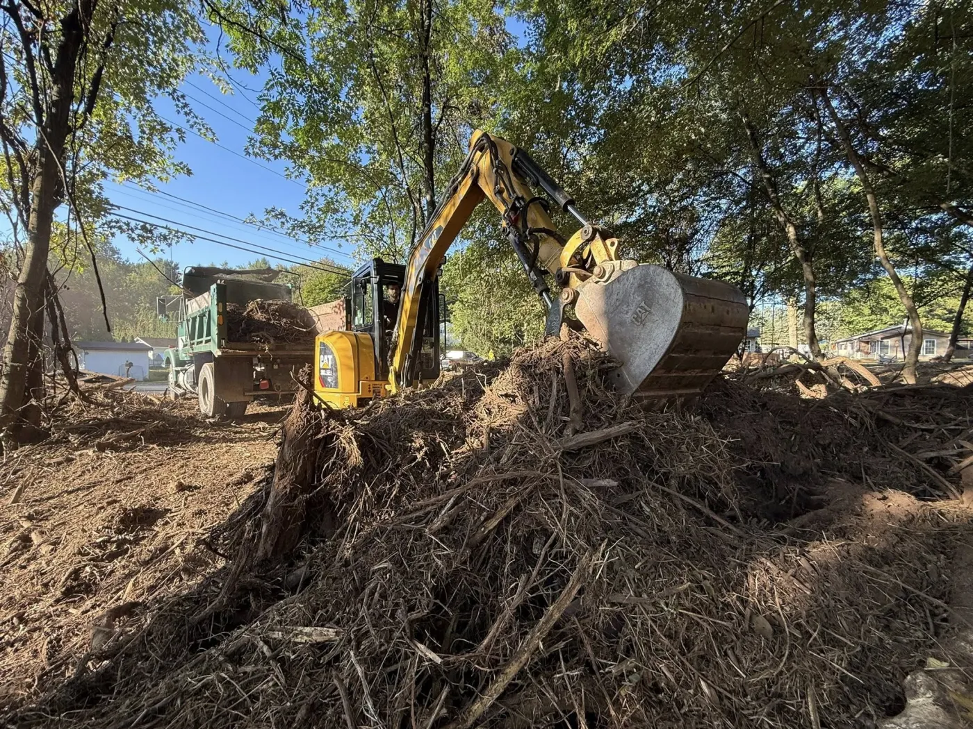 Compact excavator lifting a bucket of roots and brush beside a dump truck under leafy trees